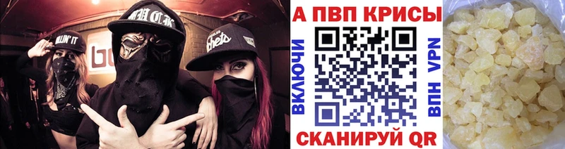 Альфа ПВП СК КРИС Нальчик