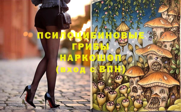 2c-b Верхний Тагил
