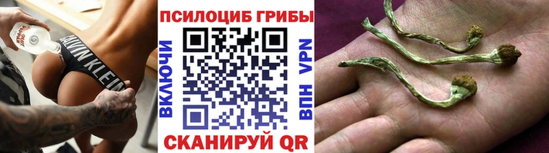 Псилоцибиновые грибы Magic Shrooms  нарко площадка официальный сайт  Нальчик 
